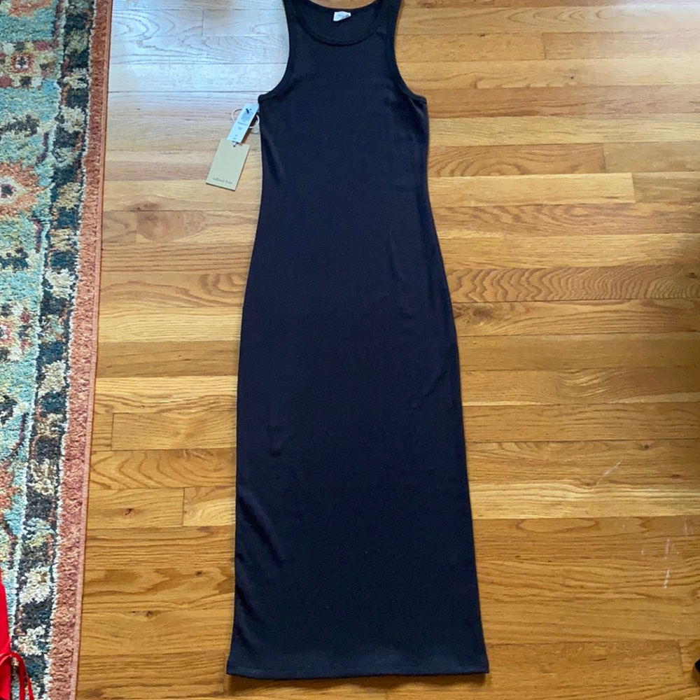 Wilfred Free Pensacola Dress: Small